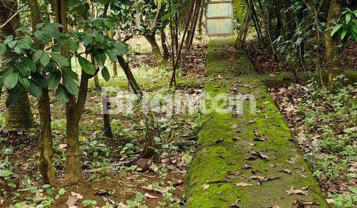 Spacious Plot and Ready-to-Build Steps with River View in Griya Loka Tangerang