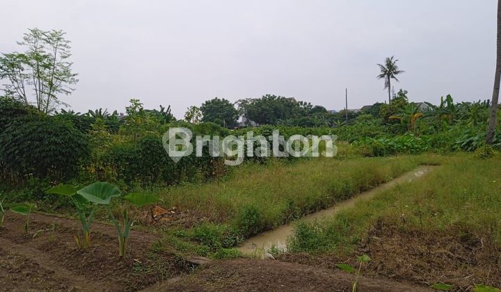 LAHAN SUPER MURAH BAWAH NJOP DI CIMONE – KOTA TANGERANG  2