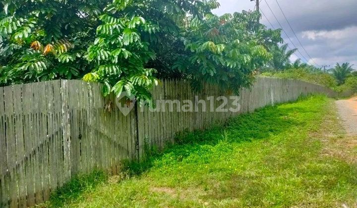 Dijual Tanah - Jl Meranti, Karang Joang, Balikpapan Utara