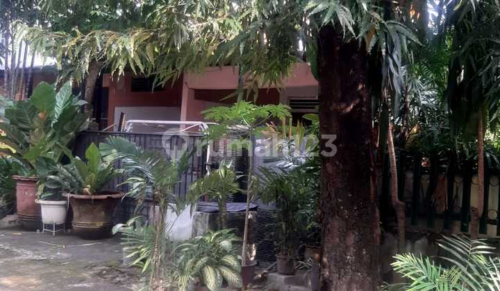 Rumah Siap Huni dengan Hunian Nyaman dan Asri di Kebayoran Baru 2