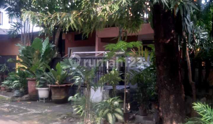 Rumah Siap Huni dengan Hunian Nyaman dan Asri di Kebayoran Baru