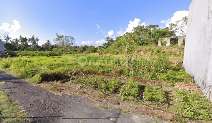 Small Land Plot Lot In Keramas Blahbatuh Gianyar Bali For Sale Freehold 2