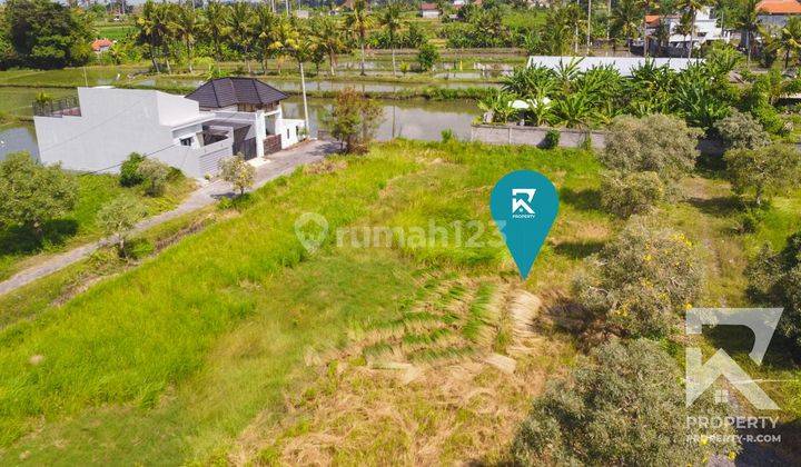 Small Land Plot Lot In Blahbatuh Gianyar Bali For Sale Freehold 2