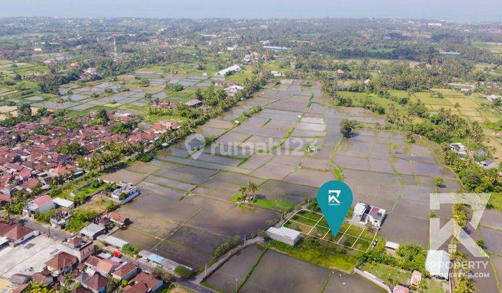 Small Land Plot Lot In Blahbatuh Gianyar Bali For Sale Freehold 1