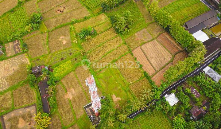 Kavling Tanah Harga Murah Bawah Pasaran 655 m2 View Gunung Agung di Klungkung Bali – SHM 2