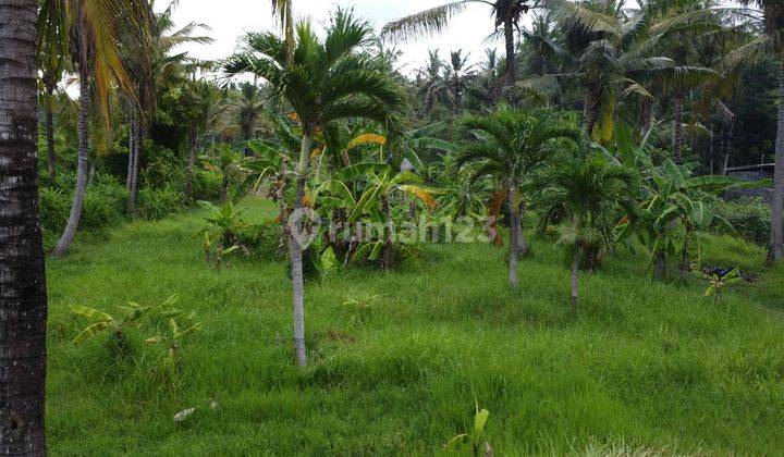 Rare 870 m2 Beachside Land Plot in Jasri Karangasem Bali for Sale Freehold 2