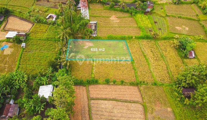 Kavling Tanah Harga Murah Bawah Pasaran 655 m2 View Gunung Agung di Klungkung Bali – SHM 1