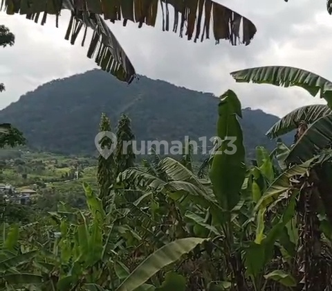 Dijual Tanah Best View di Bojong Koneng Sentul Bogor