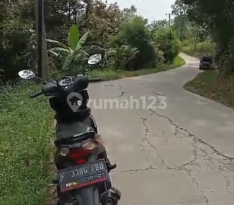 Dijual Kebun Duren Di Pabuaran Kec Sukamakmur Dijual Kebun Duren Di Pabuaran Kec Sukamakmur