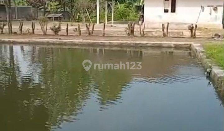 Tanah Dijual Di Gadog Ciawi Bogor Sangat Cocok Buat Vila 1