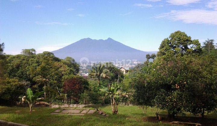 Dijual Tanah Di Pasir Angin Gunung Geulis Dekat Sumarecon Bogor  1