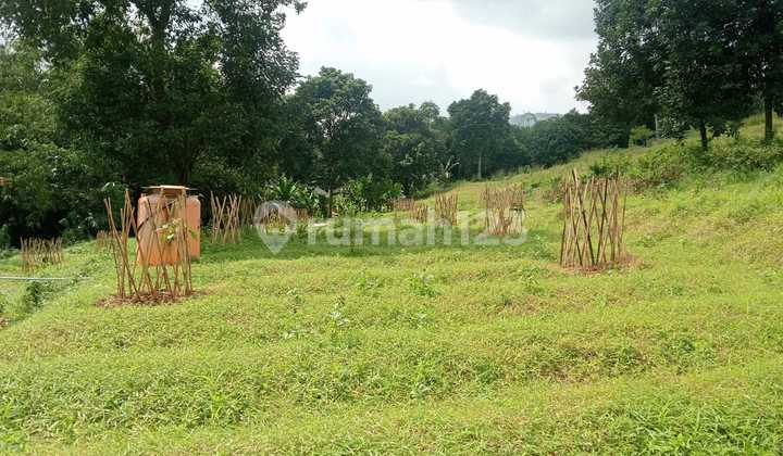 Land for Sale in Hambalang Sentul Bogor