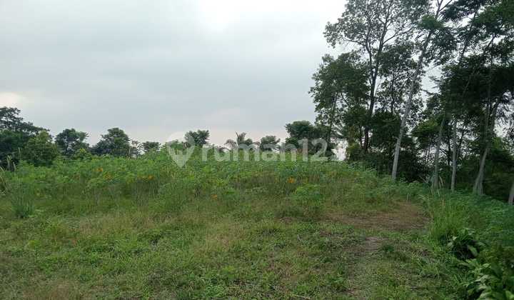 Dijual Tanah di Desa Bojong Koneng Sentul City Bogor