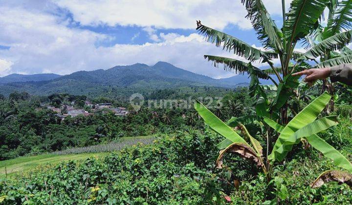 Tanah best view dijual di Parakan salak sukabumi  3