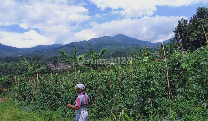 Tanah best view dijual di Parakan salak sukabumi  4