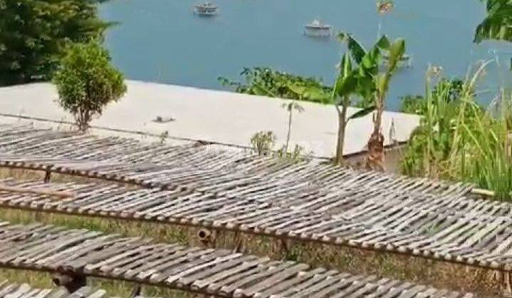 Tanah pinggir pantai Loji lokasi pinggir jln propinsi  1