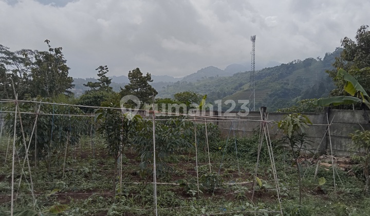 Dijual Tanah Di Bojong Koneng Dekat Ri 1 Dijual Tanah Di Bojong Koneng Dekat Ri 1