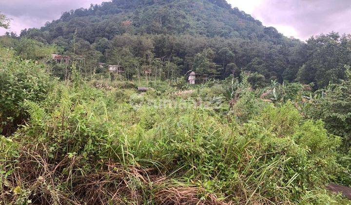 Tanah Dijual Di Cimandala Gunung Pancar Sentul Bogor  2