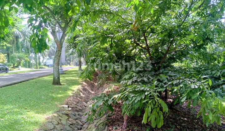 Dijual Tanah di Rancamaya Ciawi Bogor