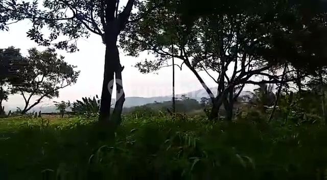 Dijual Tanah Nempel Sentul City Bogor