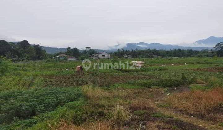 Tanah Dijual Di Sentul Pinggir Jalan Raya Sentul 2