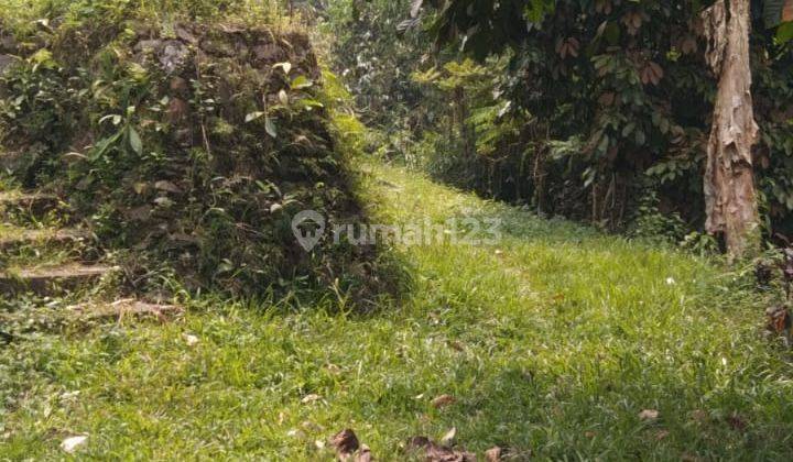 Dijual Tanah Di Cikidang Sukabumi Jawa Barat 1