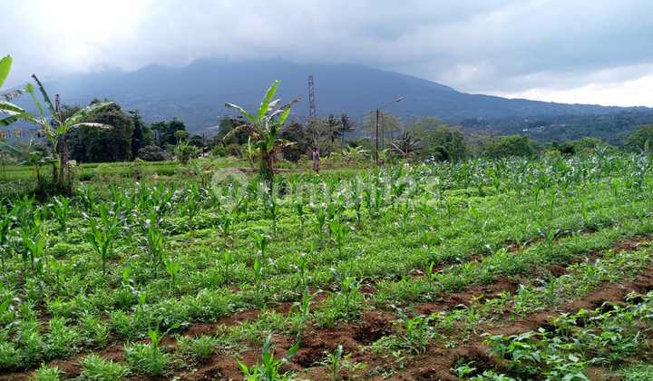 Dijual Tanah Beat View Di Cigombong Bogor