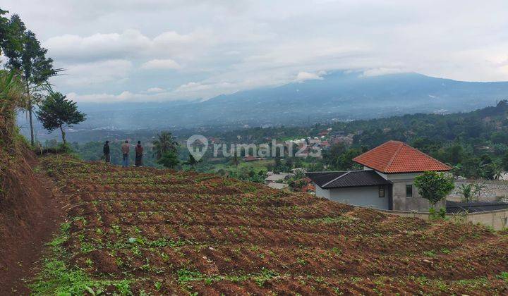 Tanah Dijual Dicijeruk Bogor Beat View  1