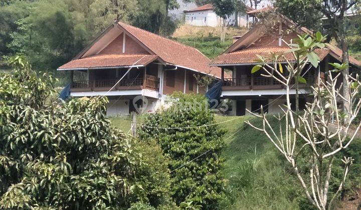 Dijual Tanah Kebun Di Cisarua Puncak Bogor  2