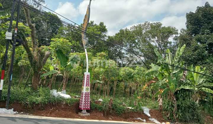 Dijual Tanah Pinggir Jln Raya Cijayanti Sentul Bogor