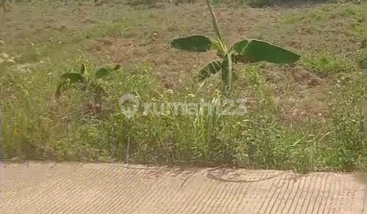 For Sale Industrial Permit Land in Citeureup Bogor For Sale Industrial Permit Land in Citeureup Bogor