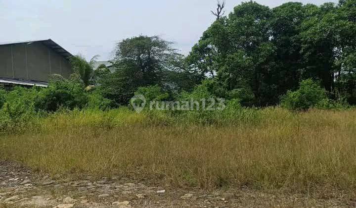 Tanah Dijual Pinggir Jln Raya Sentul Babakan Madang 2