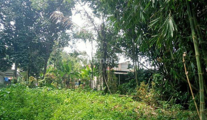 Tanah Dijual Di Hambalang Sentul Bogor  2