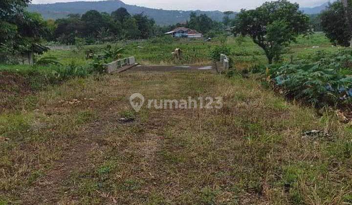 Tanah Dijual Di Sentul Pinggir Jalan Raya Sentul 1