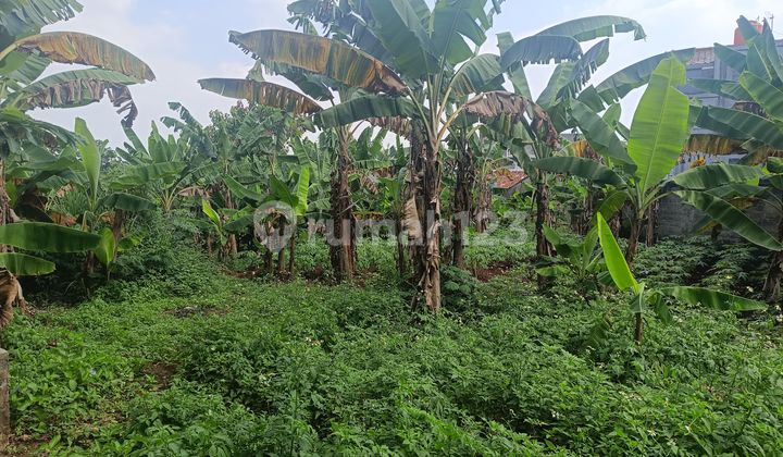 Dijual Tanah di Cibinong Bogor Dekat Mc Donal