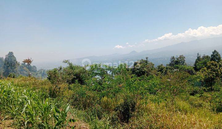 Tanah Dijual Dicijeruk Bogor View Gunung Pangrango  1