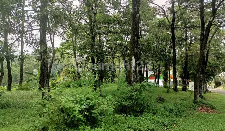 Dijual Kavling Di Cluster Bukit Golf Hijau Sentul City Bogor