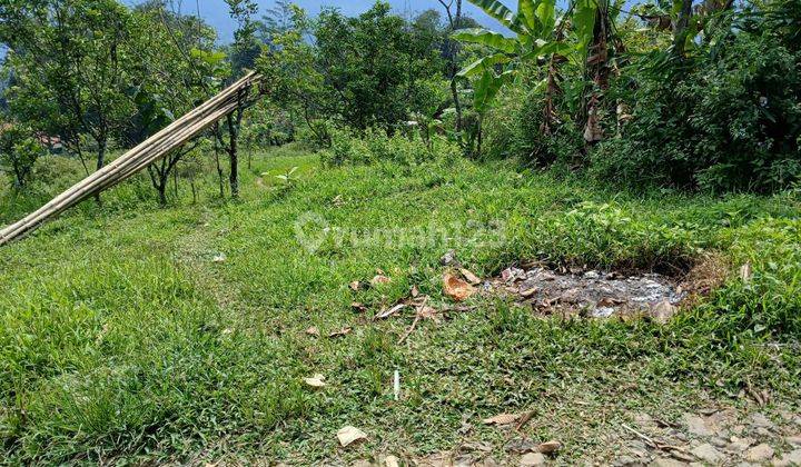 Tanah Dijual Di Pabuaran Sukamakmur Bocor  2