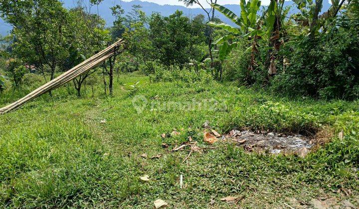 Tanah Dijual Di Pabuaran Sukamakmur Bocor  1