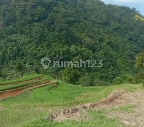 Dijual Tanah di Cibadak Leuwi Hejo Perbatasan Sentul