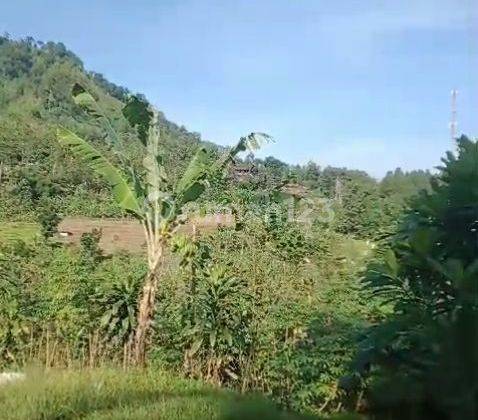 Tanah Dijual Pinggir Sungai Cocok Buat Vila Atau Wisata 2