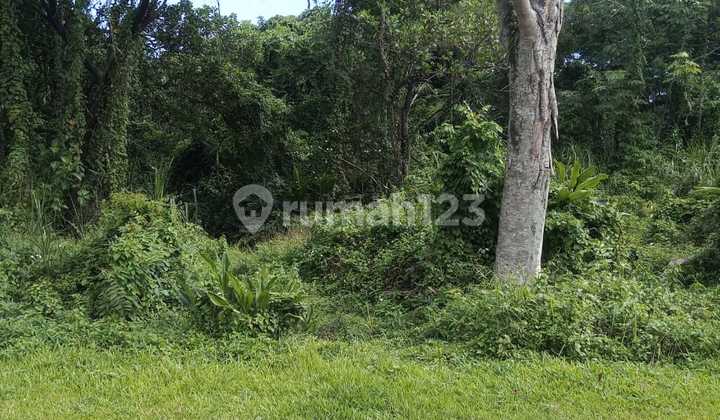 Dijual Kavling Murah di Cluster Elit Sentul City