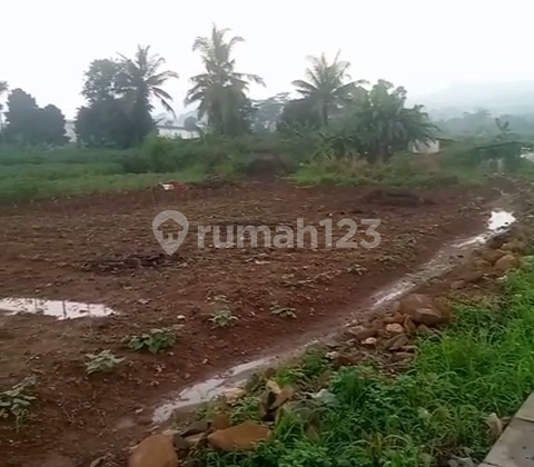 Land for Sale in Tengsaw Industrial Area Citeureup Bogor Land for Sale in Tengsaw Industrial Area Citeureup Bogor