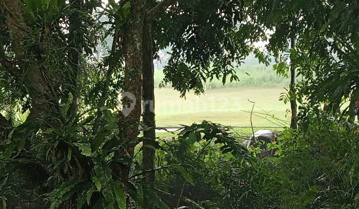 Land for Sale in Gunung Geulis Near Summarecon Bogor