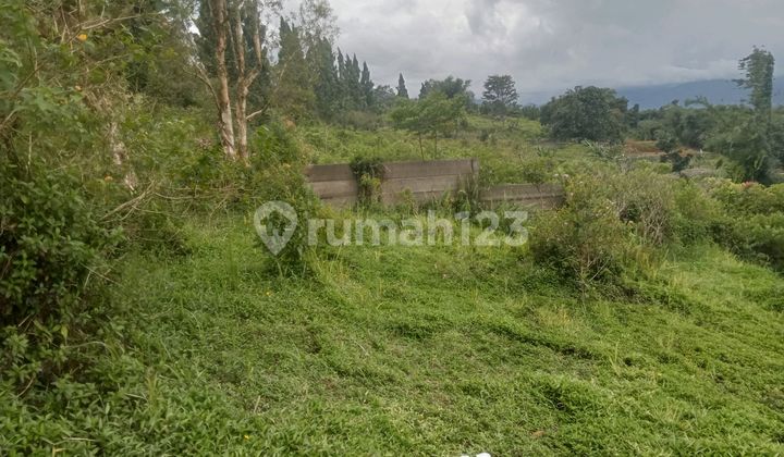 For Sale Beat View Land in Gunung Geulis Bogor