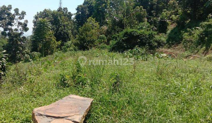 Tanah Dijual Di Hambalang Sentul Bogor  2