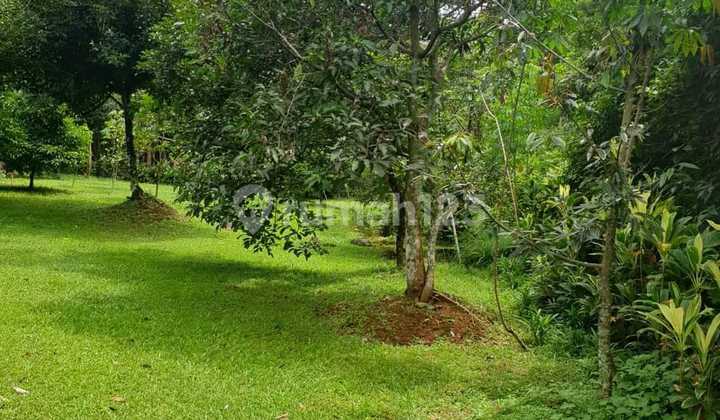 For Sale Garden Land in Cijayanti Sentul Bogor