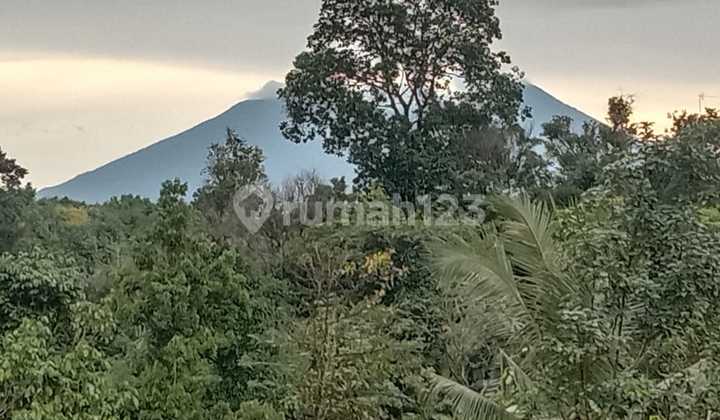 Dijual Tanah Dicijayanti Sentul Bogor 