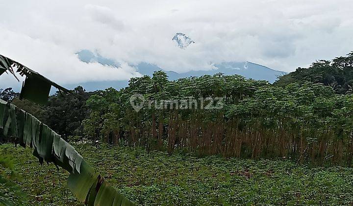 Tanah Dijual Di Cijayanti Sentul Bogor  2