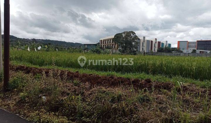 Tanah Dijual Samping Tol Gadog Bogor  2